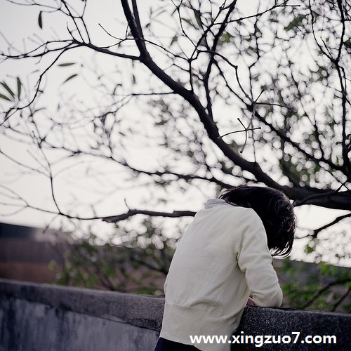 ɺһ(2015.8.3-8.9)3
