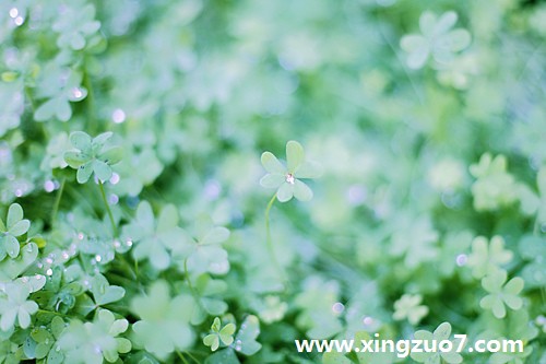 Ů׵һ(2015.11.16-11.22)2