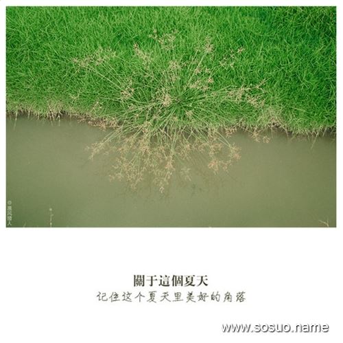 梦见象牙