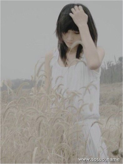 梦见骑大象
