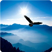 �ɹ�֮·�������˶�Զ