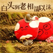 ���ǻ�����һ����