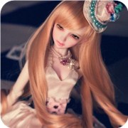 ���ǹ�����OR��������