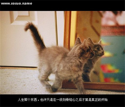 8��1�ճ������еĺ�1��14�ճ�����Ů�ĵİ��黭��
