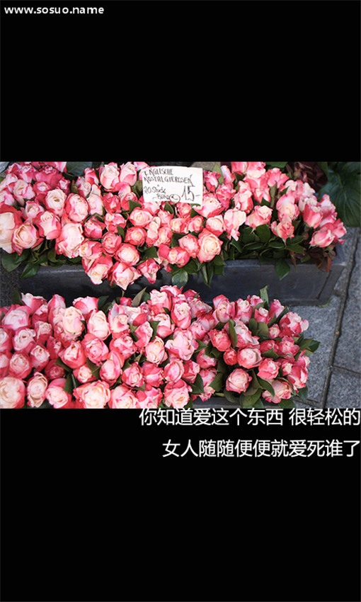 4��2�ճ������еĺ�8��15�ճ�����Ů�ĵİ��黭��