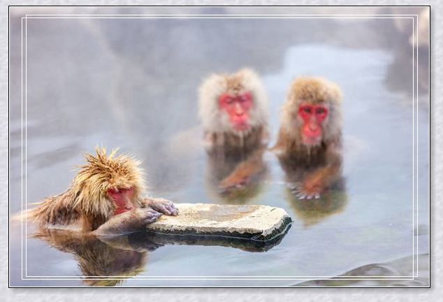 梦见水坑 梦见水坑