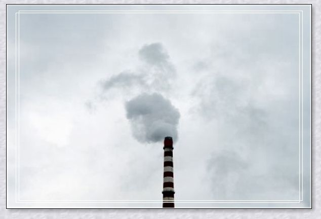 �μ�����˯��