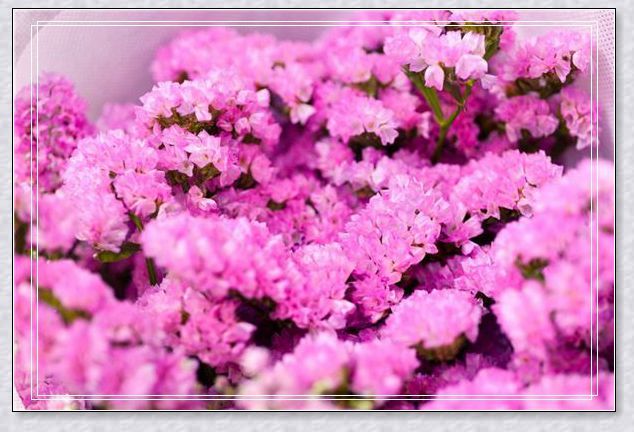 �μ����ֵ�Ͳ�ؼ�