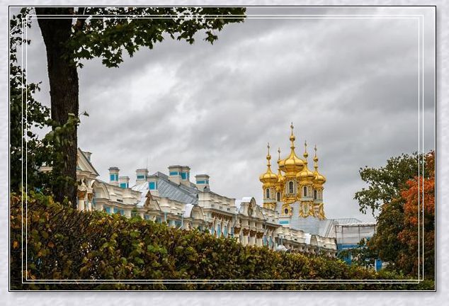 �μ����ӱ�����