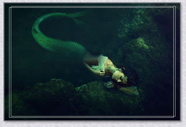 �μ��Լ���Ϊ�ʵ�