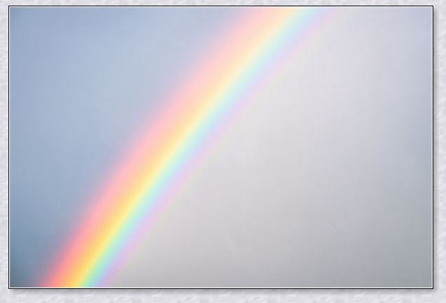 �μ�����Ǯ��ƭ
