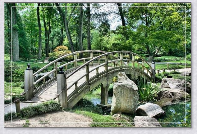 �μ���һֻ��