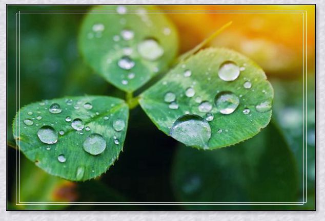 �μ������ѳ���Ⱦ�