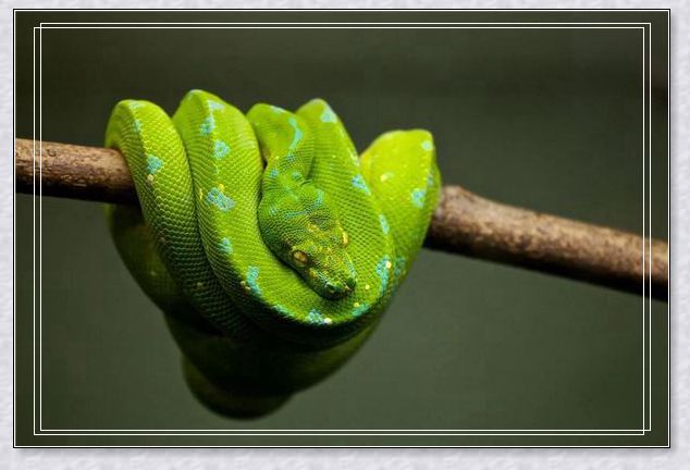 �μ��ֿ��ܶ����ͬ��