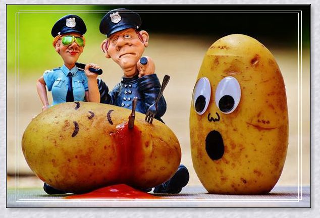 �μ����ڽ�����