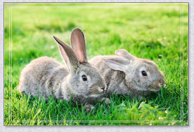 �μ�����ͬѧ����ʦ
