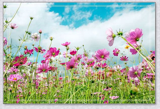 梦见龙卷风是怎么回事?