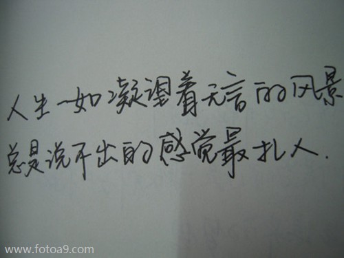 姓名测试_佛滔算命网