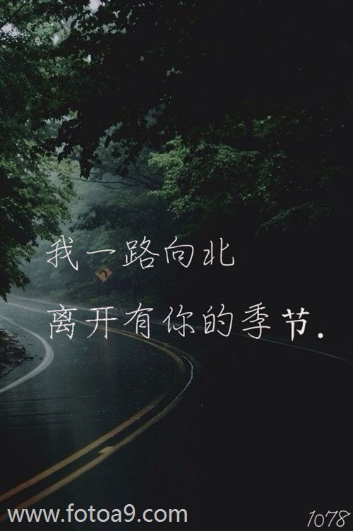 乐正树贵的命运